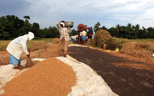 0.66516600-1464096378-making-indias-voice-count